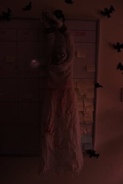 IMG_6033_1.jpg IMG_6033_1.jpg